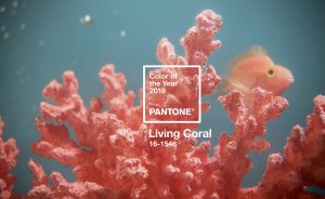 Living coral – màu cam san hô mới lạ được dự đoán sẽ “thống trị” năm 2019